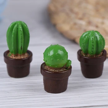 5vnt Miniatiūriniai Lėlių Dervos Kaktusas 